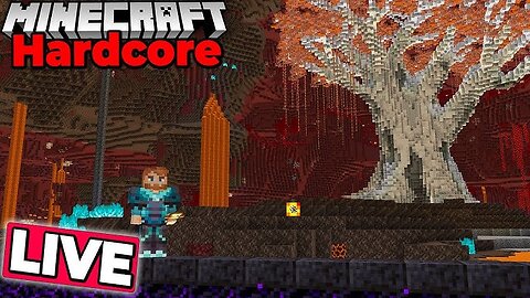 Survival Grind for a new project in my Hardcore Minecraft Survival World