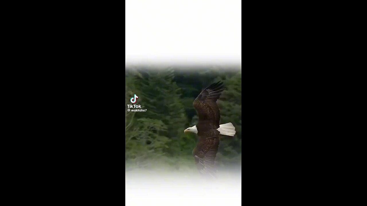 first episode