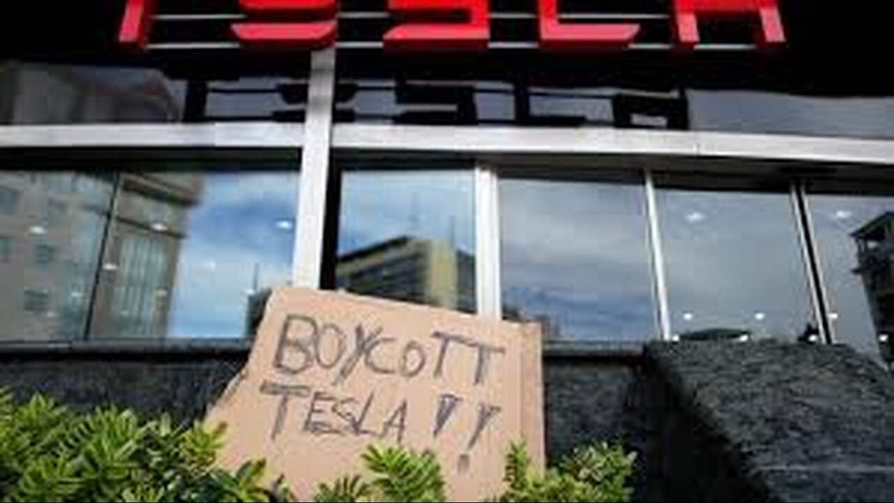 Elon Musk and the radical leftists