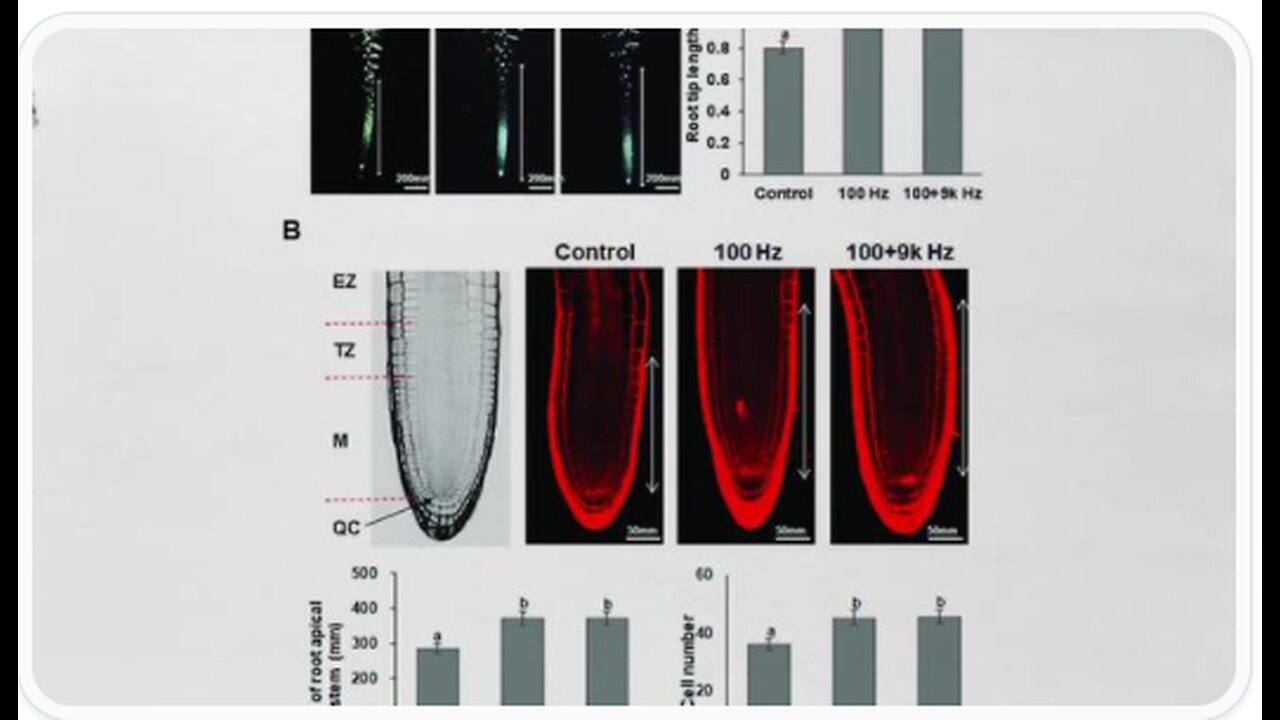 CAN..MUSIC..HEAL..US..AND..OUR...DNA?