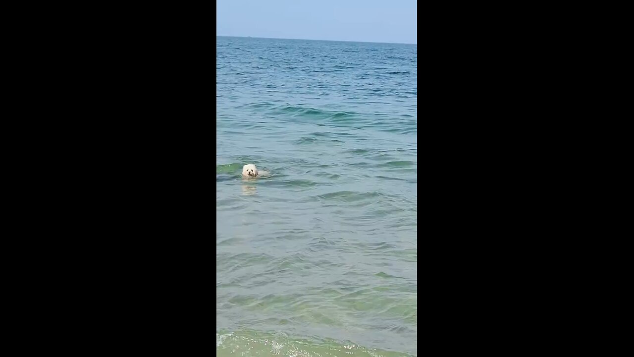 go swimming on a nice sunny day
