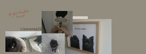 My puppies new beds & room