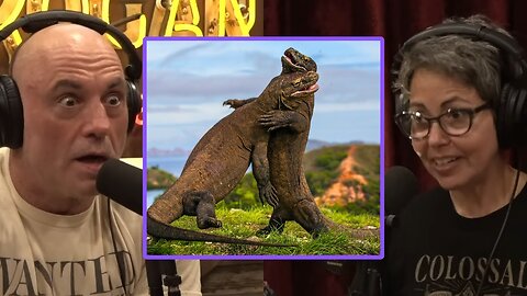Joe Rogan & Beth Shapiro: Komodo Dragons Are TERRIFYING