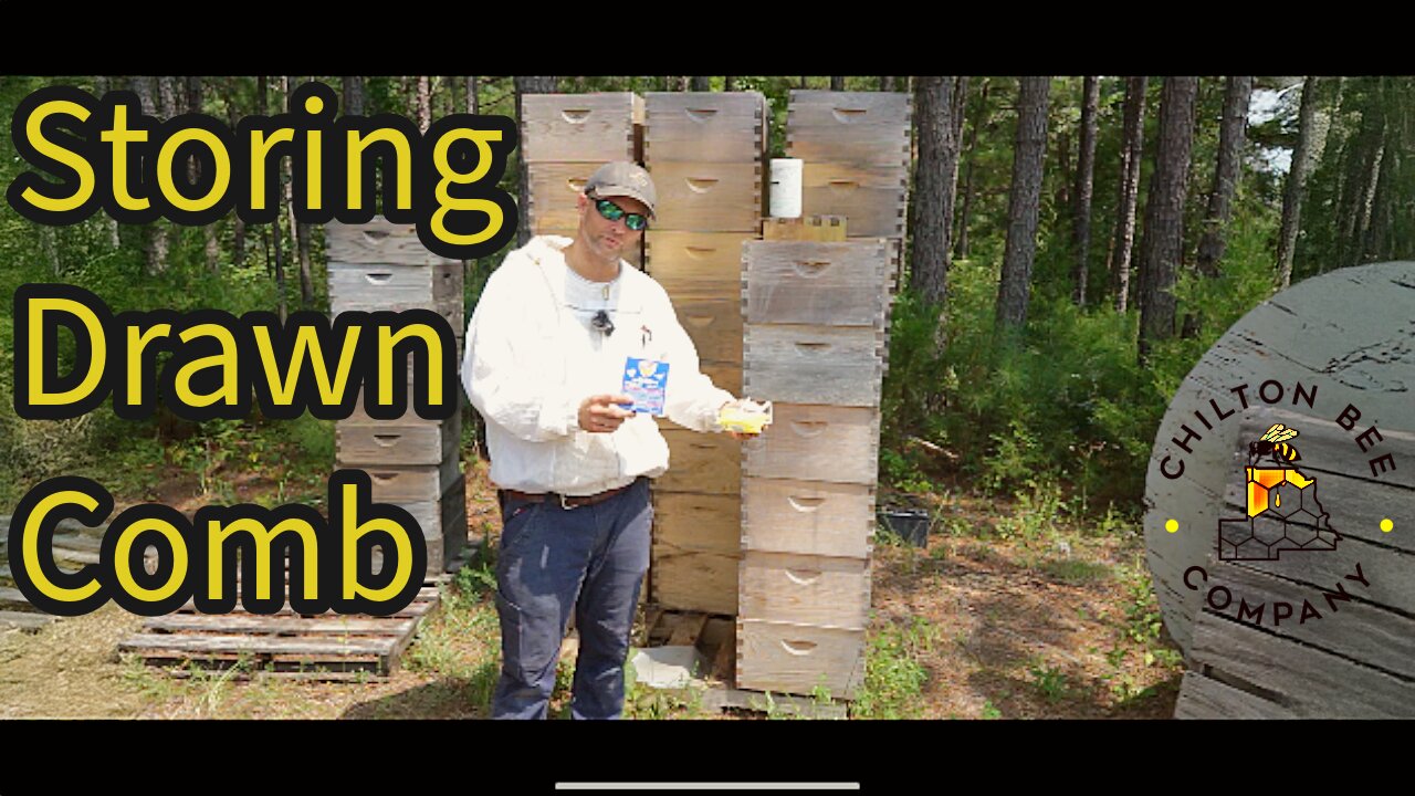How To Store Drawn Comb
