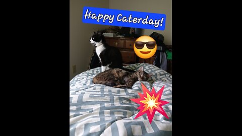 Happy Caterday night! Chaos Nuketown Blaze town / Plunder Warzone