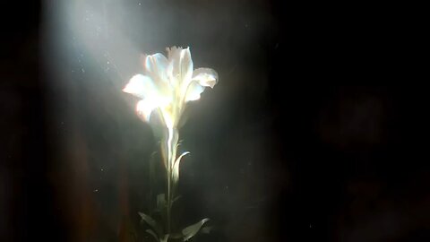 Light_That_Leads_Me__with_Bebe_Rexha_(360p)