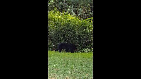 Ole BooBoo visit
