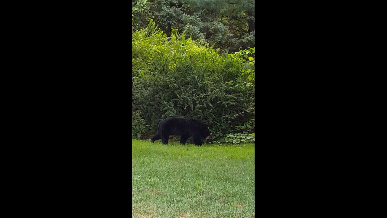 Ole BooBoo visit