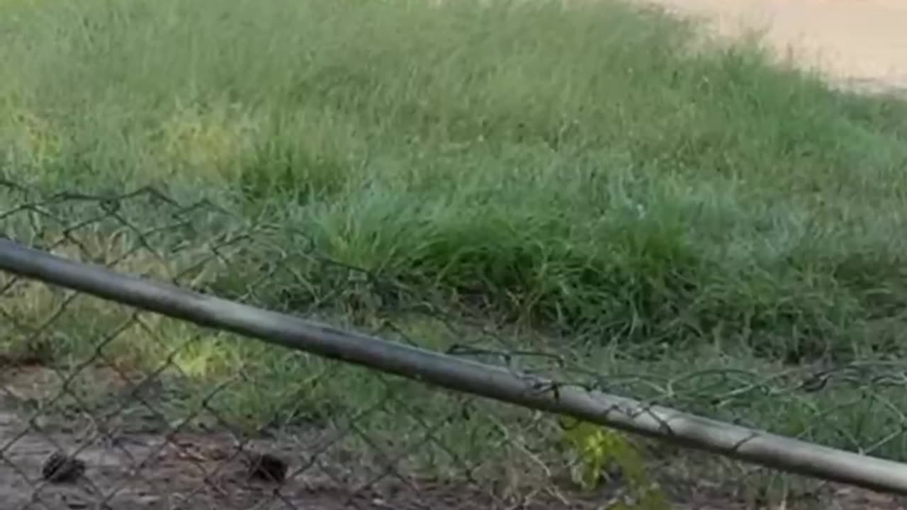 In the bottom