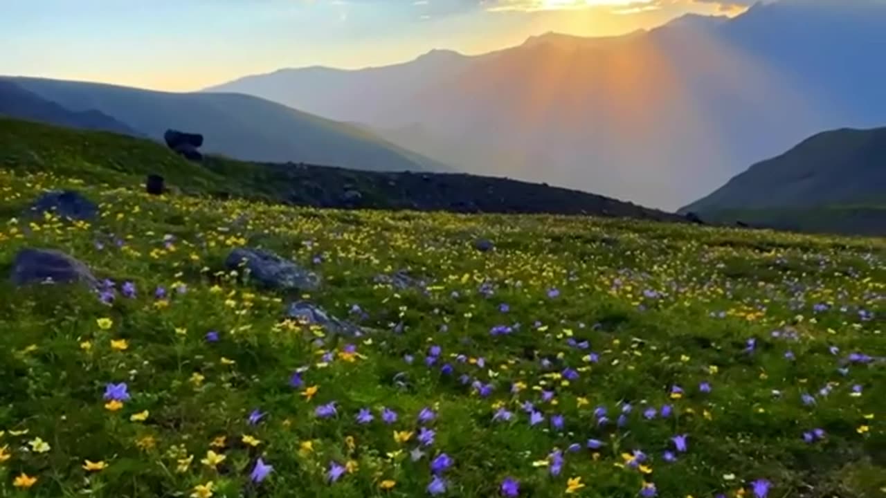 Have you seen paradise?