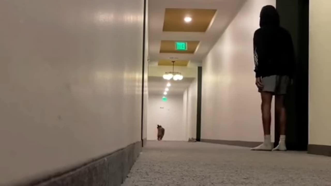 No one should ever see this scene! 🤯🤣