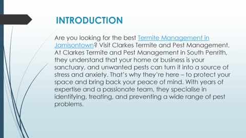 Best Termite Management in Jamisontown