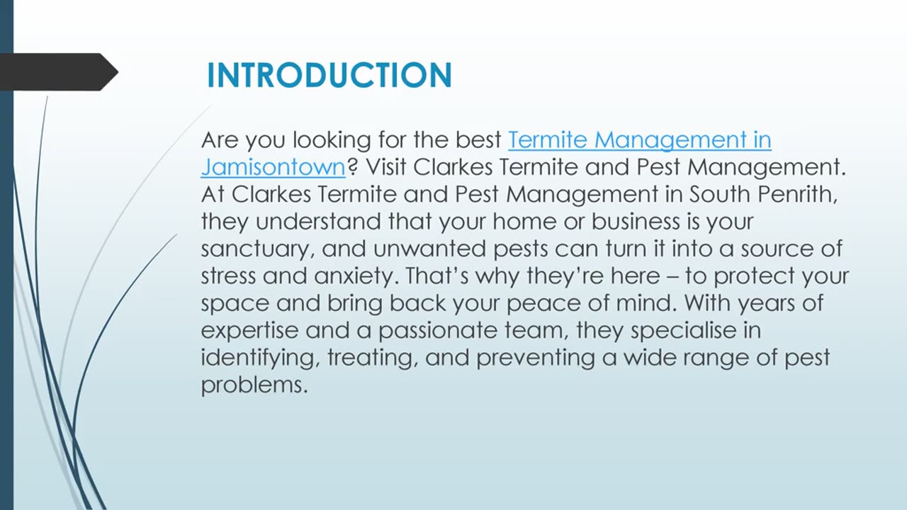 Best Termite Management in Jamisontown