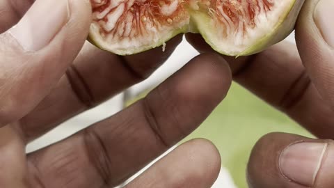 Finally Harvested a Fig from My Terrace Garden