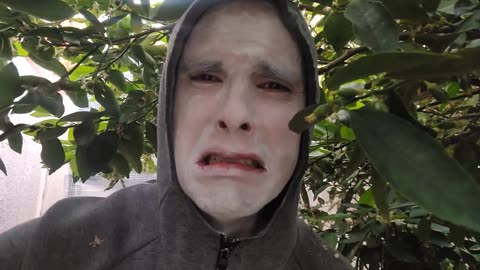 ​ @DarthNihilist Why I Only Consider Sleeping With A Family To Keep The Mental Illness Gene Strong