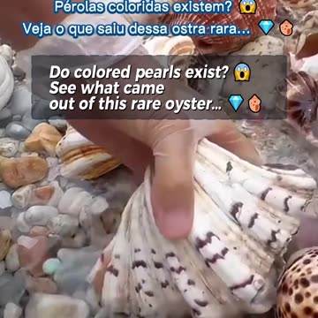Do colored pearls exist? 😱 See what came out of this rare oyster… 💎🐚