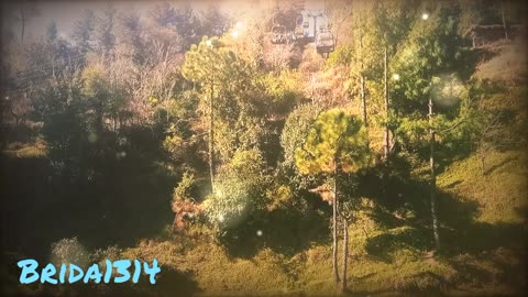 Nature LOVE