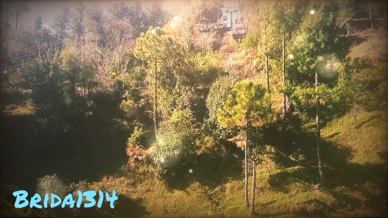 Nature LOVE