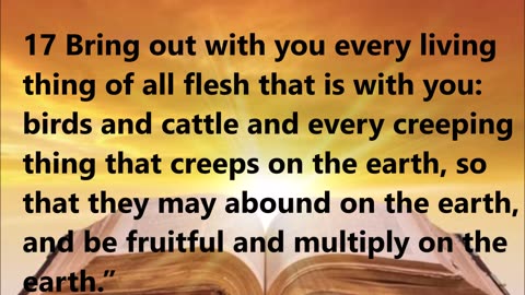 Noah's Deliverance