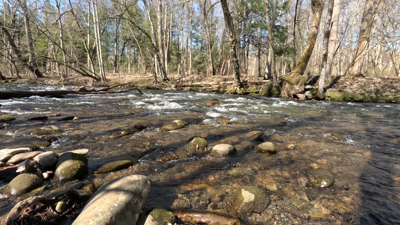 Meditation - Oconaluftee River in the Great Smoky Mountains