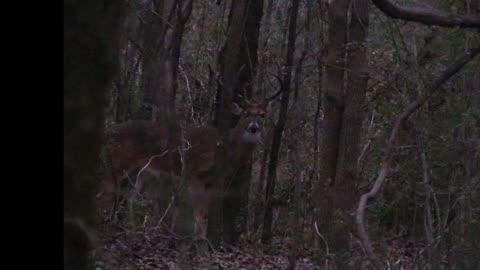 2024 Oklahoma Deer Season