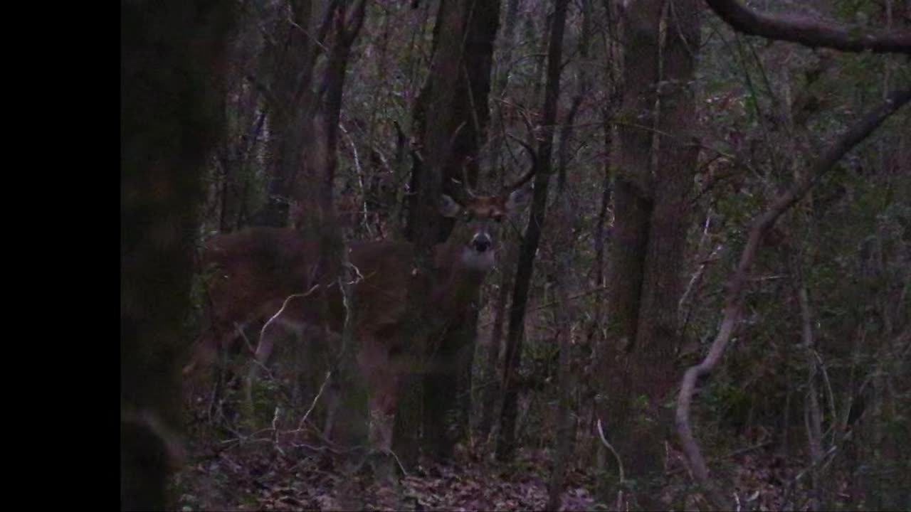 2024 Oklahoma Deer Season (Sneak Peak)!!!