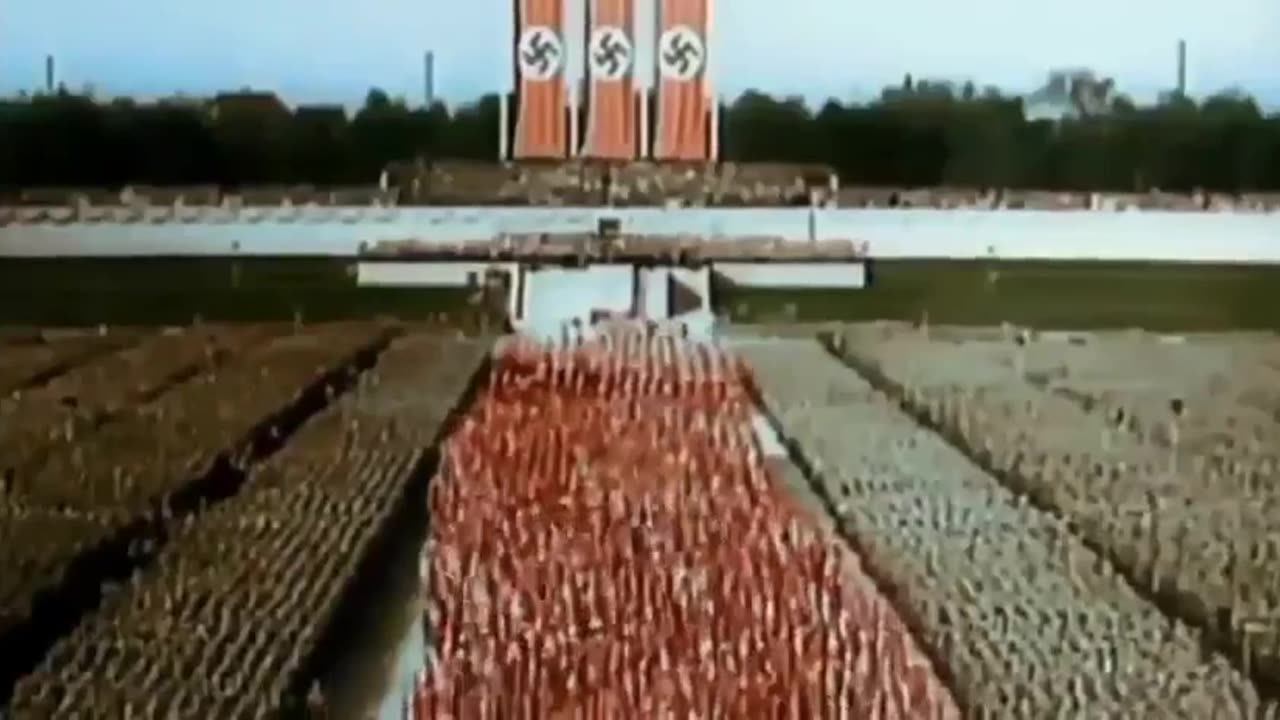 The Collapse of the White Race