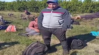 Duro descargo por parte de trabajadores agrícolas que se dedican a la cosecha de limones - Paysandú