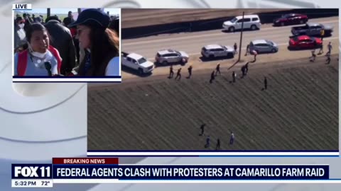BREAKING : Ventura County Marijuana Farm Raided By ICE; Protesters Blocking ICE
