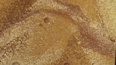 Los Picapiedras - T2E23 - Hogar Dulce Hogar