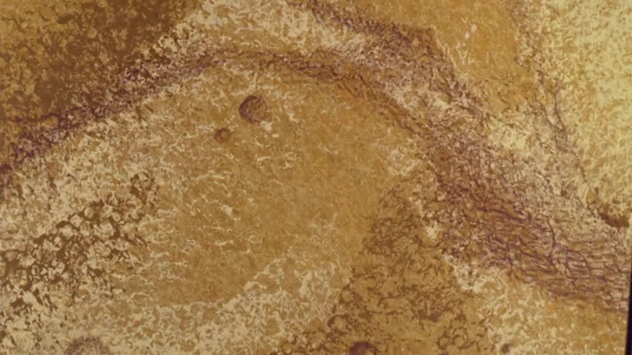 Los Picapiedras - T2E23 - Hogar Dulce Hogar