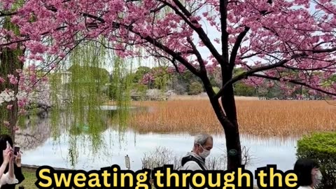 Ancient Sleeping Techniques#AncientWisdom 📜 #SleepBetter 😴 #OldSchoolTips 🌙 #NapTime 🛏️ #ZenMode 🧘