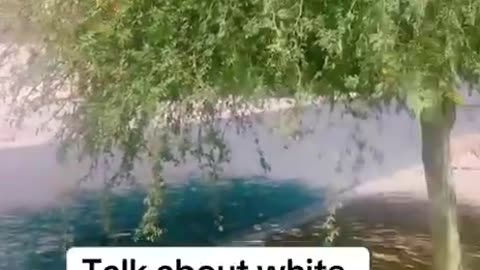 He's not moving to the ghetto