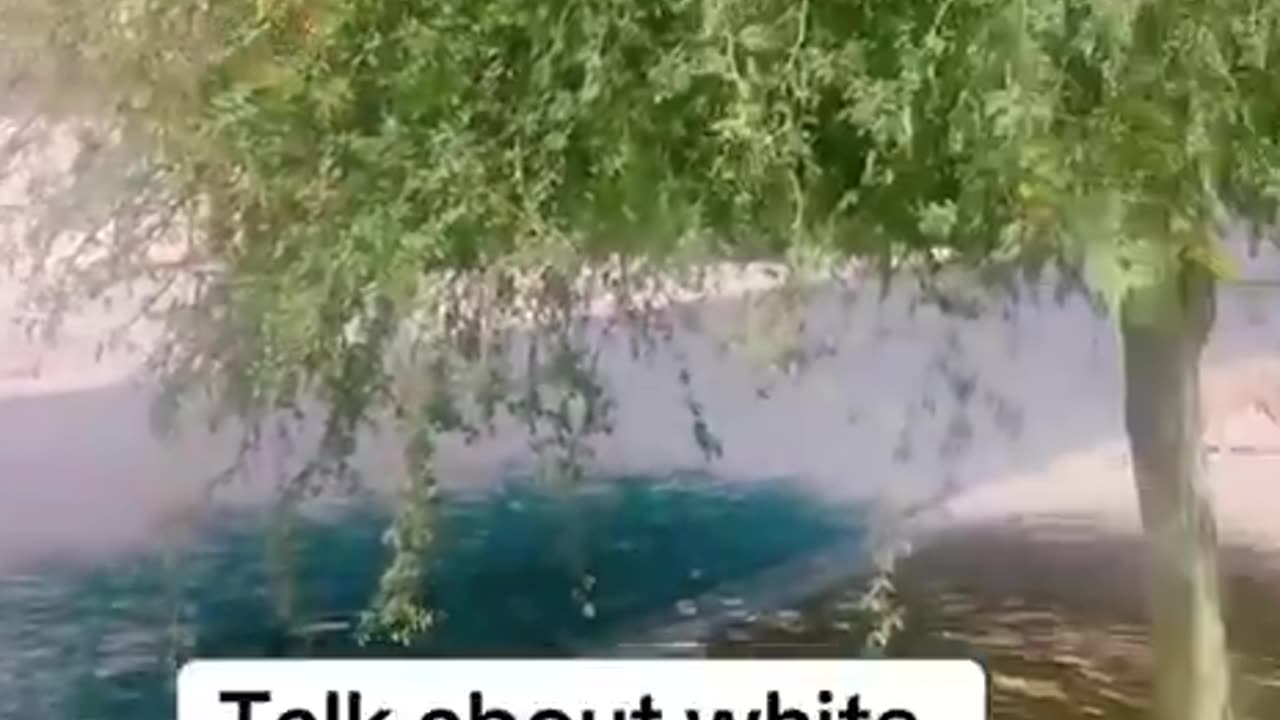 He's not moving to the ghetto