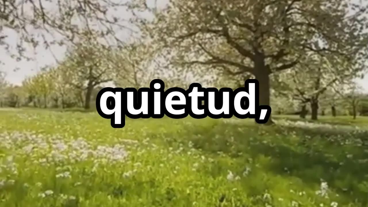 "¿ESCAPAS O EVOLUCIONAS? Los Ciclos Secretos Que Dominan Tu Destino"