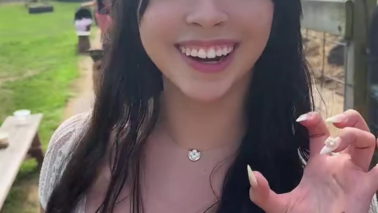 what animal is this???