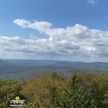 WHAT DO YOU THINK OF THIS VIEW?