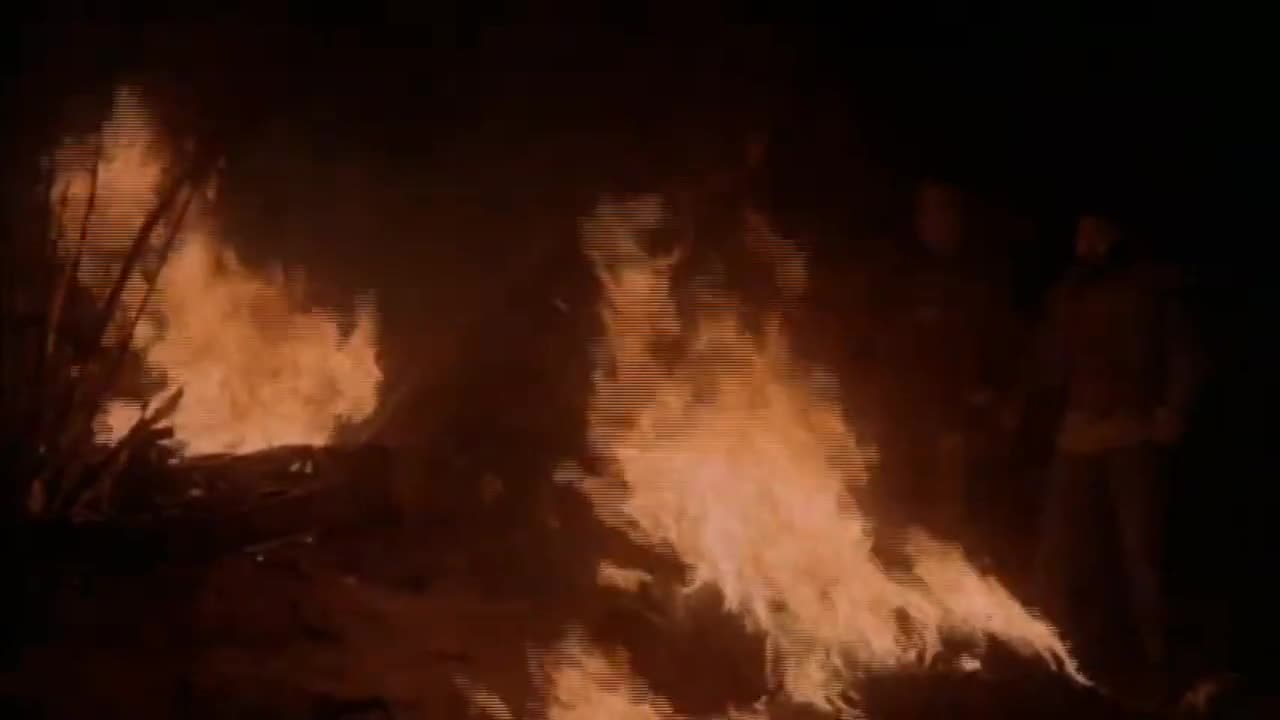 Where wolves encircle stars - TIMOTHY MCOYVEY