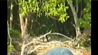 The Island You're NOT Allowed To Visit... For A Deadly Reason