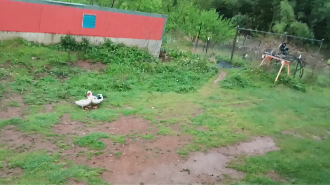 Homestead flooding!!! Major storm!!!