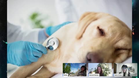 Replays For Health and Healing of Yourself and Your Pets