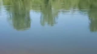 Slow river slow Life
