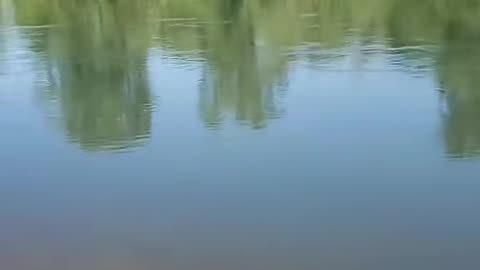 Slow river slow Life