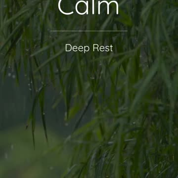 90 Second Guided Meditation for Deep Rest | Quick Relaxation & Stress Relief