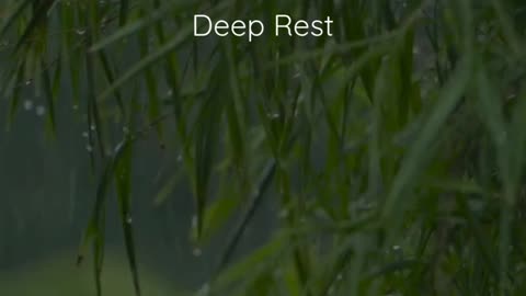 90 Second Guided Meditation for Deep Rest | Quick Relaxation & Stress Relief