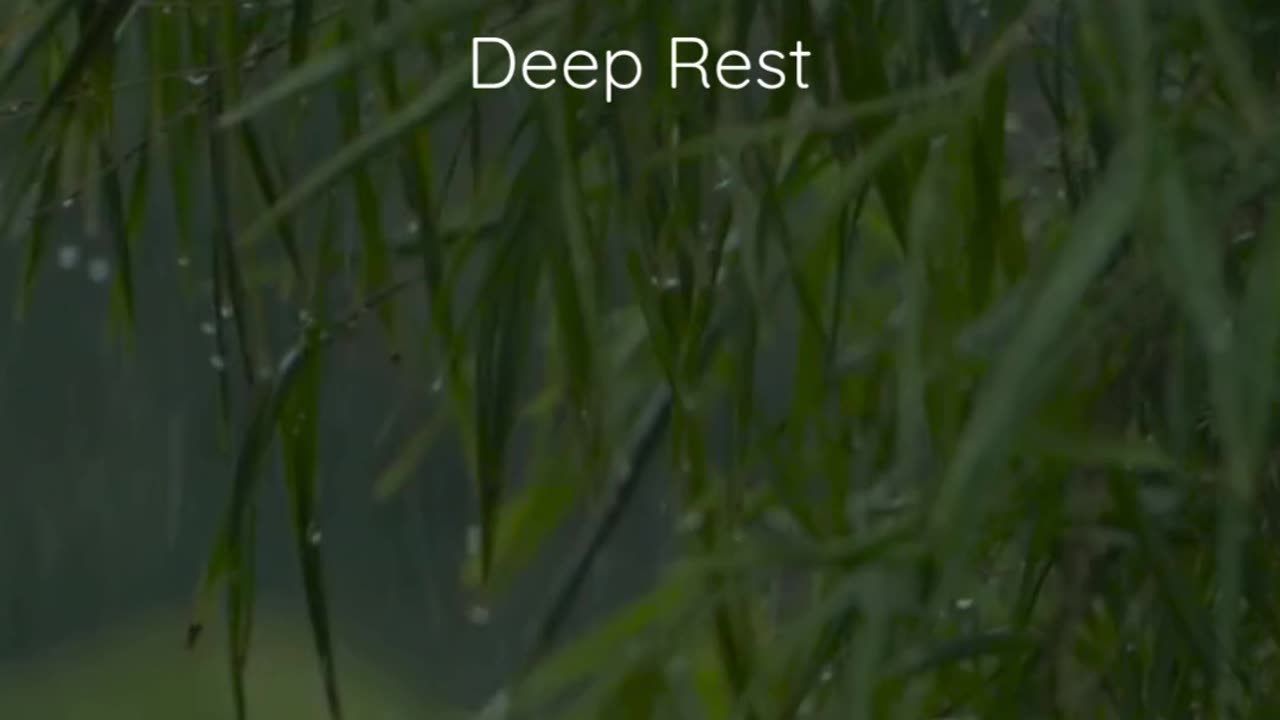 90 Second Guided Meditation for Deep Rest | Quick Relaxation & Stress Relief