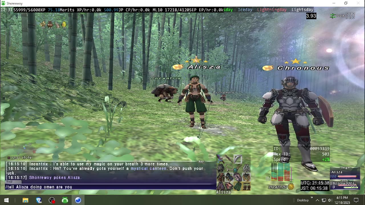 Playing Final Fantasy XI Online