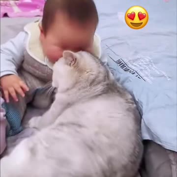 Cat Becomes Baby’s Protector – Adorable Moments