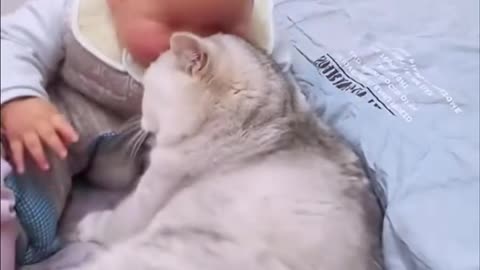 Cat Becomes Baby’s Protector – Adorable Moments