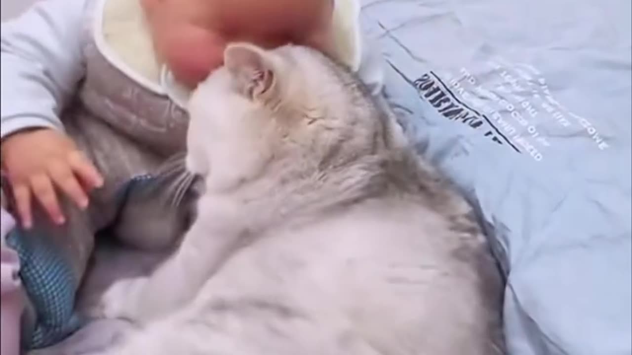 Cat Becomes Baby’s Protector – Adorable Moments
